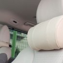 개뼈다구 이미지