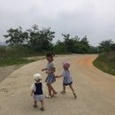 두리안펜션 네이버블로그