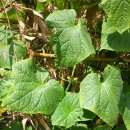 보현농장 이미지