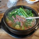 도도염소탕속초점 이미지