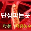 배대흥농장 네이버블로그
