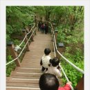 (주)오월에숲 이미지