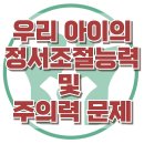 [우리 아이의 정서조절능력 및 주의력 문제] 한국아동청소년심리상담센터 이미지