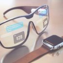 애플 피시 이미지