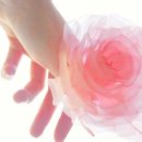 우리자리 이미지