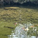 연암농장3 이미지