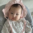 도리리떡