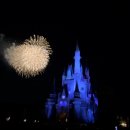 드림프레젠츠 | 도쿄 디즈니랜드🎡