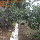 서홍동-12 이미지