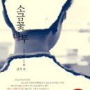 소금꽃 이미지
