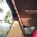 대관령솔내음오토캠핑장 이미지