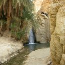 카오아시스 이미지