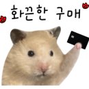 솔온누리약국 이미지