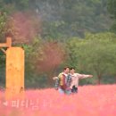 한반도리버2 이미지