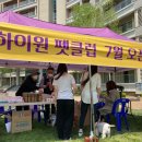 하이원펫클럽 이미지