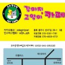 스타펫미팅 이미지