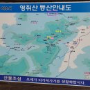 #[여수 여행] 연분홍 꽃술이 물들인 영취산 진달래...........76 이미지