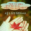 라네 Daum카페