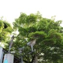 성안건설주식회사 - 20082 | 성안건설주식회사