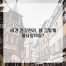 서울애견 이미지