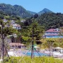 울릉도특산품직판장
