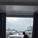 곰섬파라다이스2 이미지