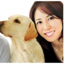 개와당신 이미지