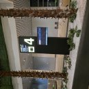 16차, 베트남 24일 배낭여행, 2일차, 무이네.25.9.9 이미지