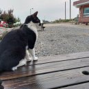 이안횟집민박 이미지