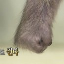 호텔류 이미지