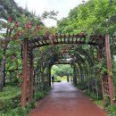 석관지하보차도 이미지