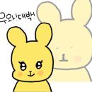 데이앤제이 이미지