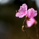 시민체육관 이미지