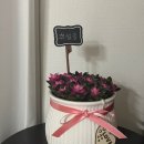 홈소야 | [Wed.4]부모님 첫인사 한우선물 추천, 대전 홈소야, 내돈내산