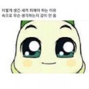 더 제이케이 키친박스 이미지