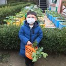 알콩달콩 카페 이미지