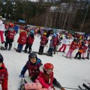 경희대 진명태권도 이미지