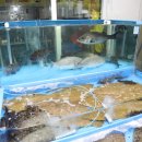 충전수산 이미지