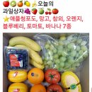 순이네과일