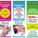 어루만짐스킨앤바디