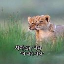 메트로폴리탄 2 이미지