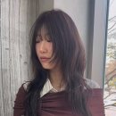 차오름헤어 서면점 이미지
