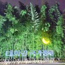 순천만쉼표2 이미지