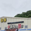 돼지네굴수산