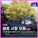 서기묘소 및 신도비 | 고요한 하루를 선사하는🌱광주 사찰 모음｜광주 여행｜광주 명소