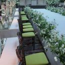 숲속의 컨벤션 | 숲속의 작은 결혼식, 로얄파크컨벤션 파크홀 웨딩작가 투어기 (웨대남 박감독)