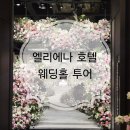 전통폐백식당 | ​[웨딩홀 투어] 강남 엘리에나 웨딩홀 상담 후기 | 홀별 비교 및 주차, 당일 계약 혜택 견적 공유