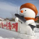 송어축제 이미지