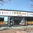 삼천포금화돈 이미지