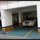 하단동212 이미지